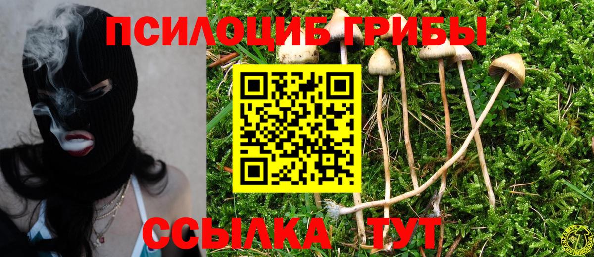Галлюциногенные грибы GOLDEN TEACHER  Вход с VPN  Псилоцибиновые грибы мухоморы  где можно купить наркотик  Чернушка 